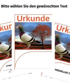 Urkunden