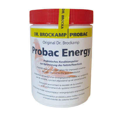 Dr. Brockamp Probac Energy 500g für Brieftauben und Rassetauben