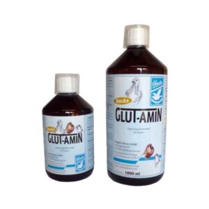 Backs Glutamin 1L
