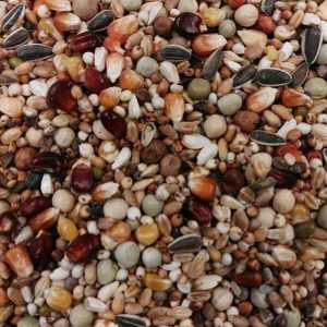 Taubenfutter von BTS Allround Topp Futter 20kg (Versandkostenfrei) für Brieftauben und Rassetauben