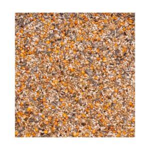 Pigeon feed from Beyers Grand Prix 25kg