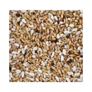 Pigeon food from BEYERS Diät Spezial Nr.23 25kg (free delivery) for racing pigeons and racing pigeons