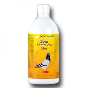 Bony Sambucca Plus - 500 ml für Brieftauben und Rassetauben