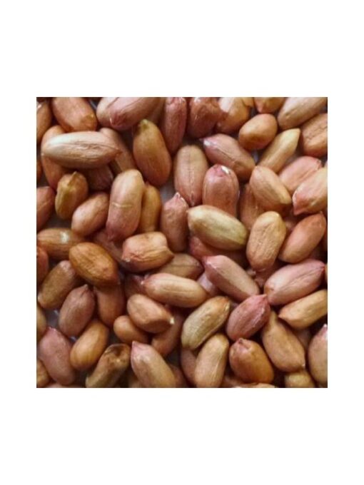 Erdnüsse mit Haut - ungeschält - 2,5kg für Brieftauben und Rassetauben
