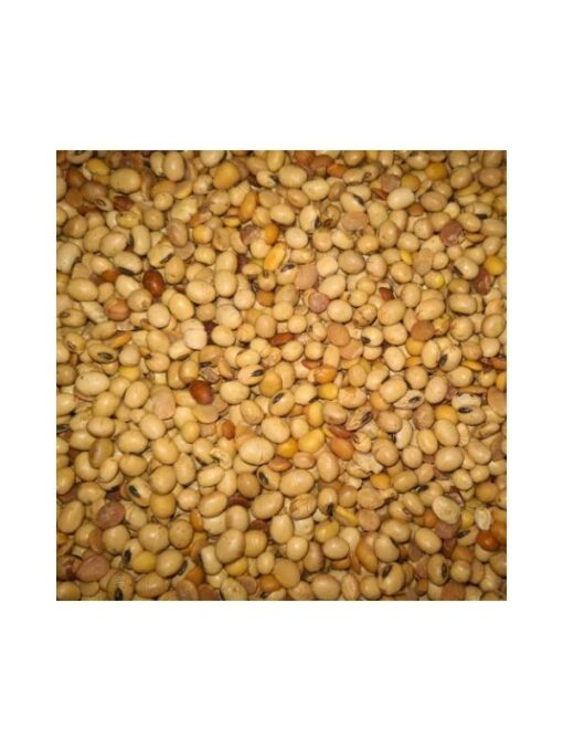 Sojabohnen getoastet 2,5 kg für Brieftauben und Rassetauben