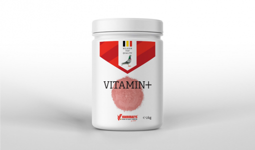 Vanrobaeys Vitamin+ 2kg - Mineralmischung für Brieftauben und Rassetauben