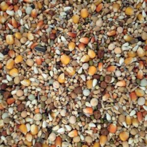 Pigeon food from Vanrobaeys Reise Exclusiv No. 39 20kg (free shipping) for racing pigeons and racing pigeons