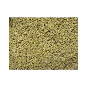 Vanrobaeys Barley No.81 - 25kg