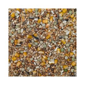 FooFine-Pedigree-Pigeons-Vital-with-corn
