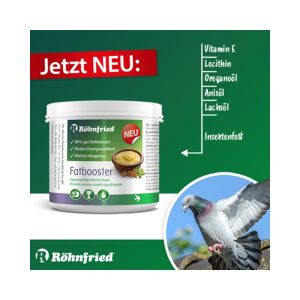 Röhnfried-Fat-Booster-465g