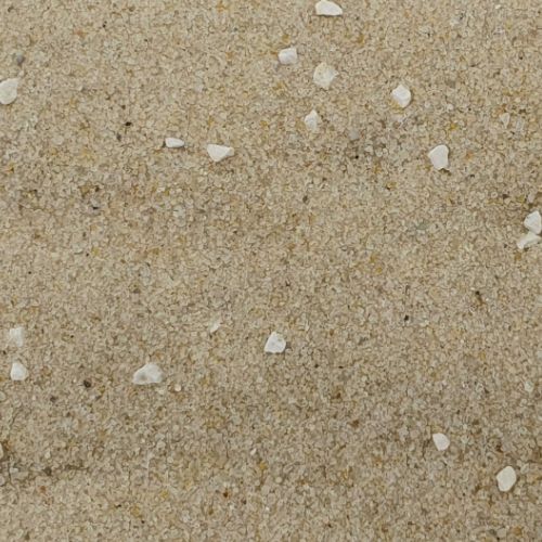 Vogelsand detail